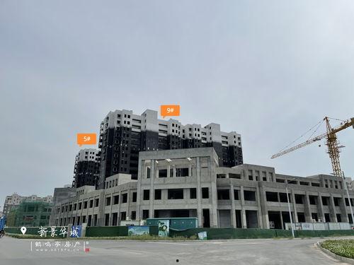 雷电5最新爆料消息视频,揭秘游戏画面与玩法革新 第2张 雷电5最新爆料消息视频,揭秘游戏画面与玩法革新 第2张