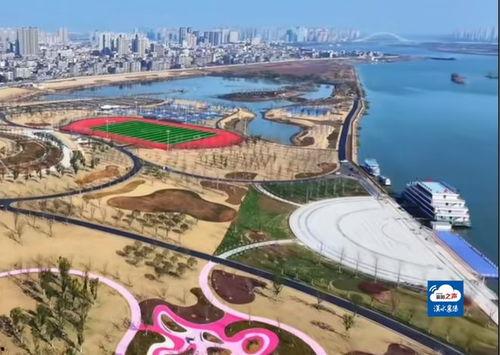 今日西湾公园爆料视频,现场实况视频曝光，精彩瞬间不容错过